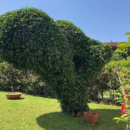 Casa Tintibutti 別荘 ピエトラサンタ