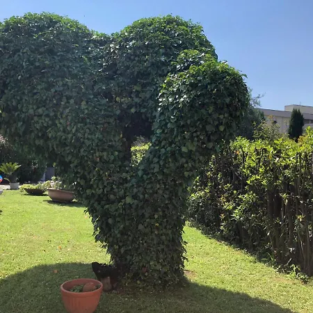 Casa Tintibutti 別荘 ピエトラサンタ